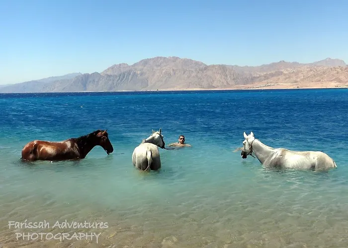 Blue Club * Dahab