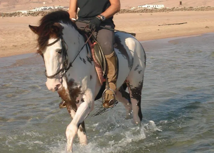 Blue Club * Dahab